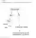 Fig. 02 - BIOACTIVE AGENT FOR BONE TISSUE ENGINEERING
