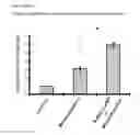 Fig. 07 - BIOACTIVE AGENT FOR BONE TISSUE ENGINEERING