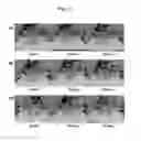 Fig. 15 - Method for preparing microspheres and microspheres produced thereby