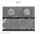 Fig. 20 - Method for preparing microspheres and microspheres produced thereby