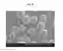 Fig. 29 - Method for preparing microspheres and microspheres produced thereby