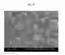 Fig. 30 - Method for preparing microspheres and microspheres produced thereby