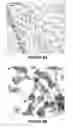 Fig. 08 - Development of a human colloidal bone graft material