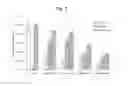 Fig. 06 - Dendrimeric peptides, pharmaceutical compositions and methods of using the same