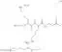 Fig. 31 - Dendrimeric peptides, pharmaceutical compositions and methods of using the same