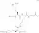 Fig. 33 - Dendrimeric peptides, pharmaceutical compositions and methods of using the same
