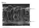Fig. 22 - Nonaqueous electrolyte secondary battery