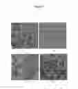 Fig. 02 - Methods for diagnosis of and predicting treatment efficacy of hormone receptor expressing tumors, cancers and neoplasias