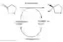 Fig. 01 - Ketoreductase polypeptides for the production of ()-3-hydroxythiolane