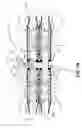 Fig. 03 - Electrical connector with sacrificial appendage