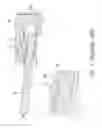 Fig. 02 - Electronic device, adapter and receptacle