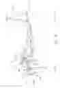 Fig. 11 - Exercise machine