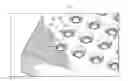Fig. 01 - ASSEMBLIES FOR MULTIPLEX BINDING ASSAYS