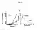 Fig. 07 - Pharmaceutical composition containing polypeptide fragments of serralysins