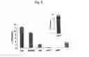 Fig. 09 - Pharmaceutical composition containing polypeptide fragments of serralysins