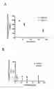 Fig. 02 - Compounds for stimulating P-glycoprotein function and uses thereof