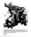 Fig. 06 - CHEMICAL MODULATORS OF PRO-APOPTOTIC BAX AND BCL-2 POLYPEPTIDES