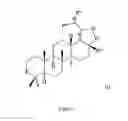 Fig. 02 - Triterpenoid 2-deoxy glycosides, method of preparation thereof and use thereof as medicaments