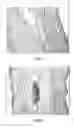Fig. 02 - Inclusion complexes of pinocembrin with cyclodextrin or its derivatives