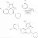 Fig. 593 - Inhibitors of beta-secretase