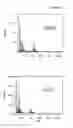 Fig. 09 - Liquid chromatographic fraction of enzymatically polymerized flavonoid as an antioxidant