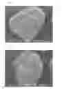 Fig. 02 - CARBON FIBER AGGREGATES AND PROCESS FOR PRODUCTION OF SAME