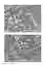 Fig. 06 - CARBON FIBER AGGREGATES AND PROCESS FOR PRODUCTION OF SAME