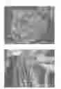 Fig. 08 - CARBON FIBER AGGREGATES AND PROCESS FOR PRODUCTION OF SAME