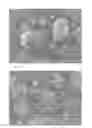 Fig. 09 - CARBON FIBER AGGREGATES AND PROCESS FOR PRODUCTION OF SAME