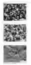 Fig. 08 - Crystalline polymorph of biopterin and production method thereof
