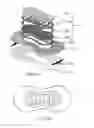 Fig. 41 - NASAL DEVICES, SYSTEMS AND METHODS