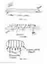 Fig. 45 - NASAL DEVICES, SYSTEMS AND METHODS