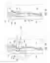 Fig. 08 - SYSTEMS AND METHODS FOR TRANSEPTAL CARDIAC PROCEDURES, INCLUDING ADJUSTABLE, SEPARABLE GUIDEWIRES