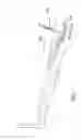 Fig. 08 - Preparation For Endovenous Laser Ablation