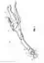 Fig. 02 - Rotary knife cutting systems