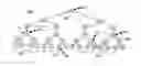 Fig. 01 - Collective network for computer structures