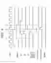 Fig. 06 - Semiconductor integrated circuit