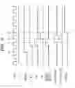 Fig. 07 - Semiconductor integrated circuit