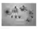 Fig. 01 - Nectarine tree named 'Nectarbondant'