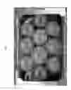 Fig. 04 - Nectarine tree named 'Cakeredal'