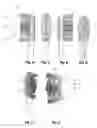 Fig. 07 - Toothbrush