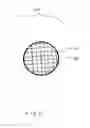 Fig. 06 - Plant protector cage
