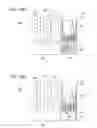 Fig. 11 - HEAT EXCHANGER
