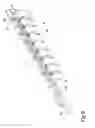 Fig. 09 - PRESS BRAKE WITH AUTOMATICALLY VARIABLE LENGTH BENDING TOOL