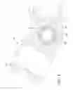 Fig. 09 - Bicycle stem