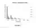 Fig. 02 - Lecithin and plasticizer compositions and methods