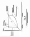 Fig. 07 - Respiratory mask assembly