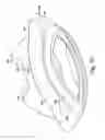 Fig. 30 - Respiratory mask assembly