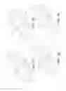 Fig. 05 - Anus crevice insert