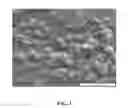 Fig. 04 - METHOD OF SYNTHESIS COBALT ANTIMONIDE NANOSCALE STRUCTURES AND DEVICE